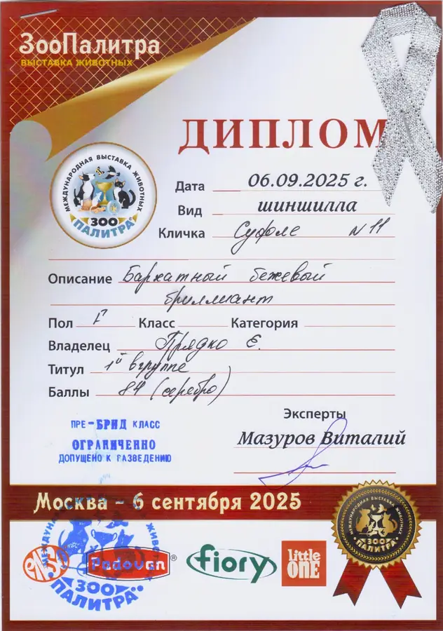 Диплом выставки