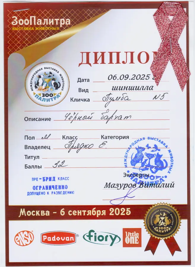 Диплом выставки
