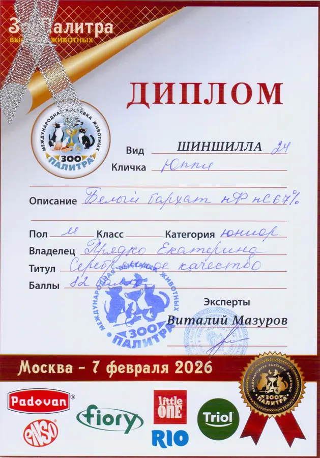 Диплом выставки