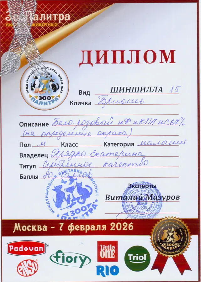 Диплом выставки