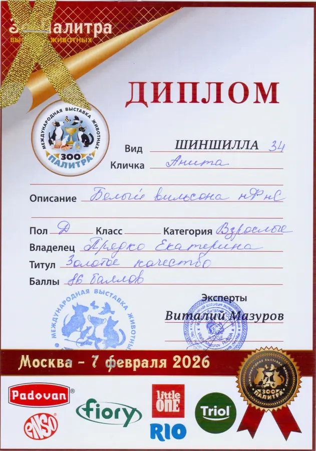Диплом выставки