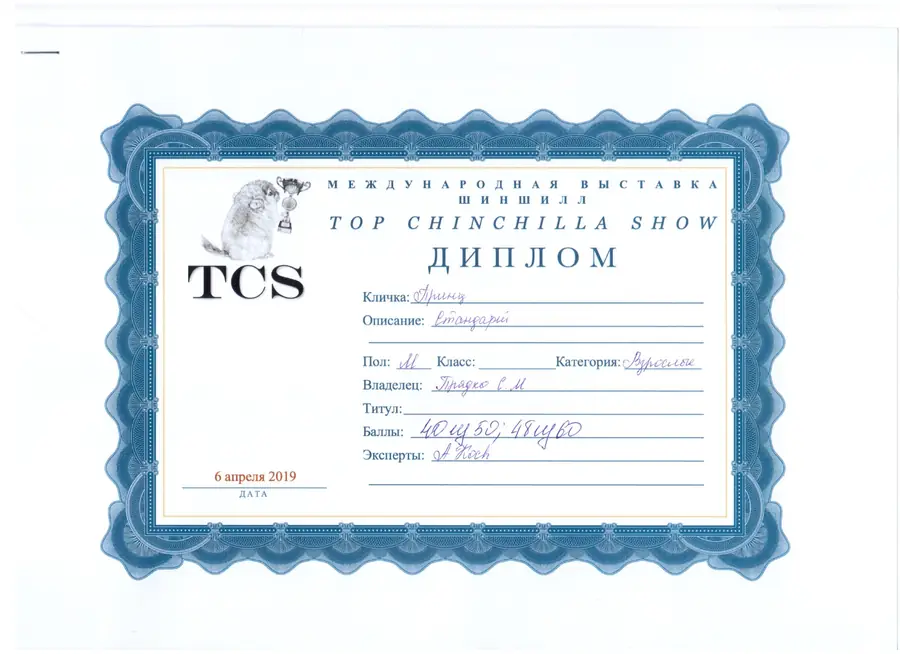 Диплом выставки