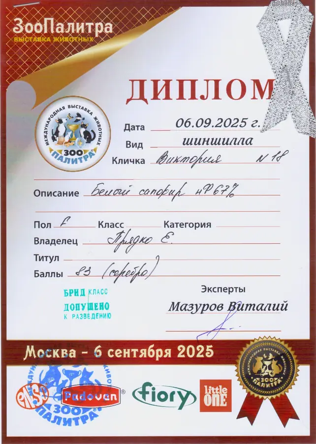 Диплом выставки
