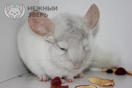 Бело-Розовый