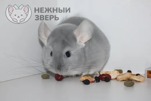 Бриллиант